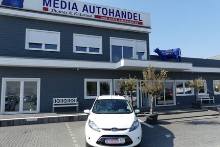 Ford Fiesta Gebrauchtwagen