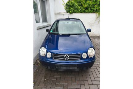 VW Polo Gebrauchtwagen