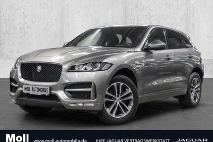 Jaguar F-Pace Gebrauchtwagen