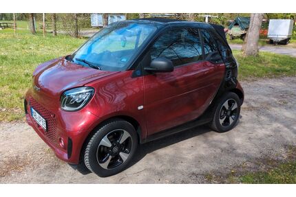 Smart ForTwo Gebrauchtwagen