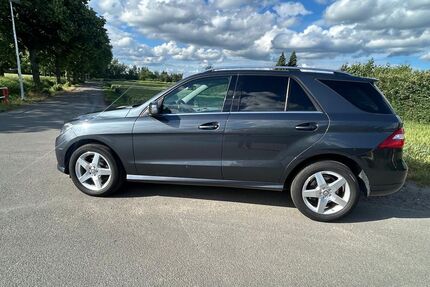 Mercedes-Benz ML 250 Gebrauchtwagen
