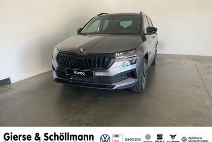 Skoda Karoq Gebrauchtwagen