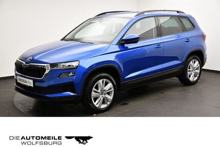 Skoda Karoq Gebrauchtwagen