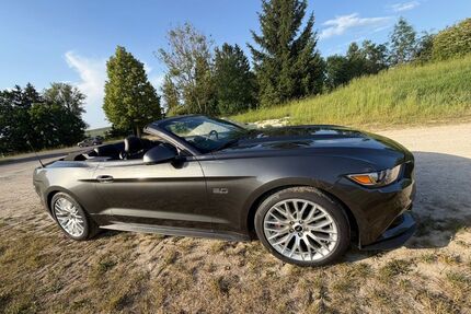 Ford Mustang Gebrauchtwagen