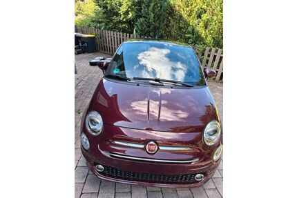 Fiat 500 Gebrauchtwagen