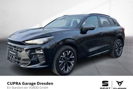 Cupra Terramar Gebrauchtwagen