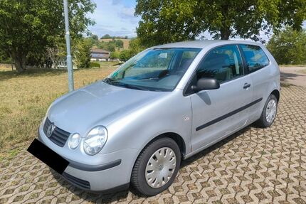 VW Polo Gebrauchtwagen