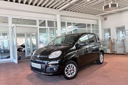 Fiat Panda Gebrauchtwagen