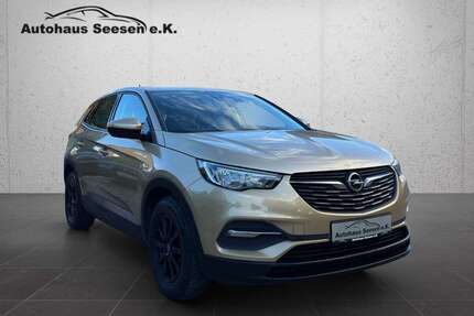 Opel Grandland X Gebrauchtwagen