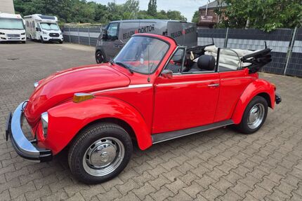 VW Käfer Gebrauchtwagen