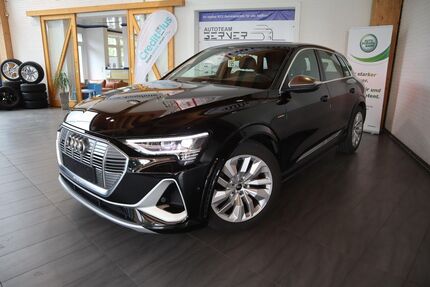 Audi e-tron Gebrauchtwagen