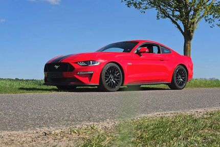 Ford Mustang Gebrauchtwagen