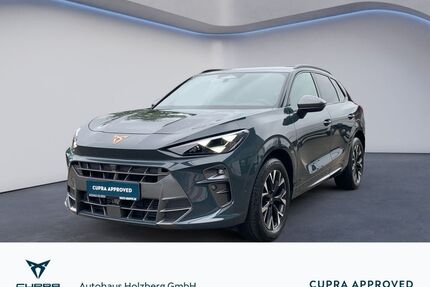 Cupra Terramar Gebrauchtwagen