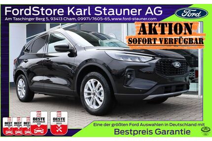 Ford Kuga Gebrauchtwagen