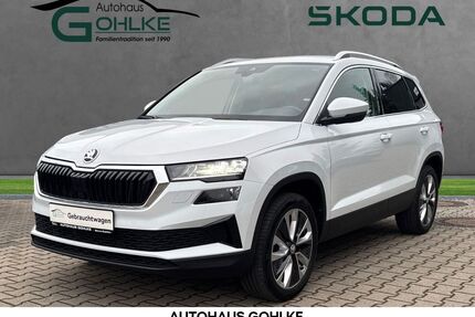 Skoda Karoq Gebrauchtwagen