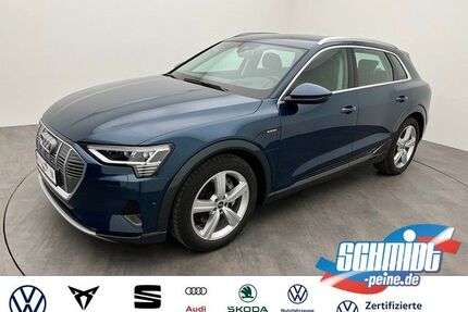 Audi e-tron Gebrauchtwagen