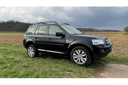 Land Rover Freelander Gebrauchtwagen