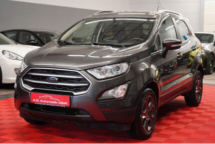 Ford EcoSport Gebrauchtwagen