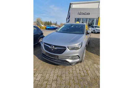 Opel Grandland (X) Gebrauchtwagen