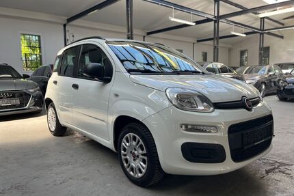 Fiat Panda Gebrauchtwagen