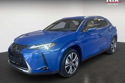 Lexus UX Gebrauchtwagen