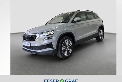 Skoda Karoq Gebrauchtwagen