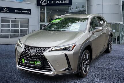 Lexus UX Gebrauchtwagen