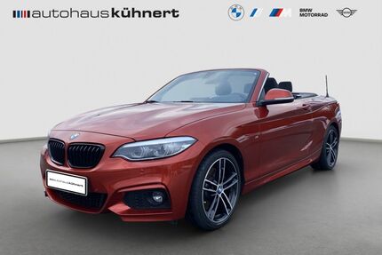 BMW 230 Gebrauchtwagen