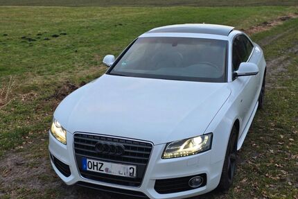 Audi A5 Gebrauchtwagen