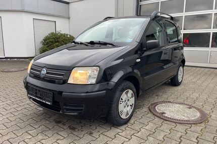 Fiat Panda Gebrauchtwagen