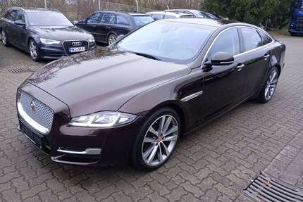 Jaguar XJ Gebrauchtwagen
