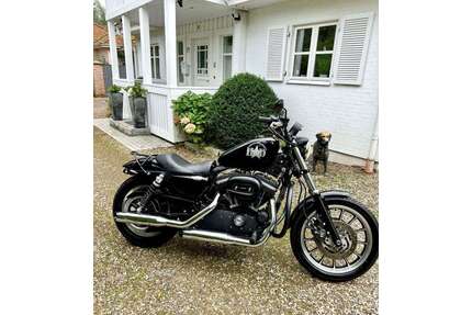 Harley Davidson XL 883 Gebrauchtwagen
