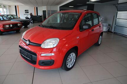 Fiat Panda Gebrauchtwagen