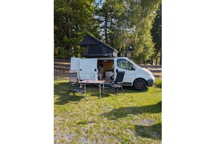 Renault Trafic Gebrauchtwagen