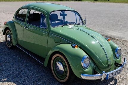 VW Käfer Gebrauchtwagen
