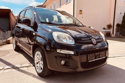 Fiat Panda Gebrauchtwagen