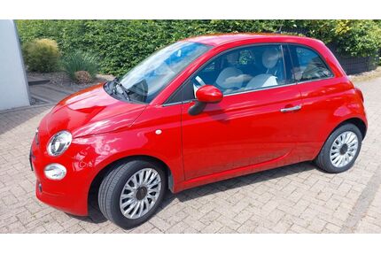 Fiat 500 Gebrauchtwagen