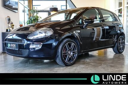 Fiat Punto Gebrauchtwagen