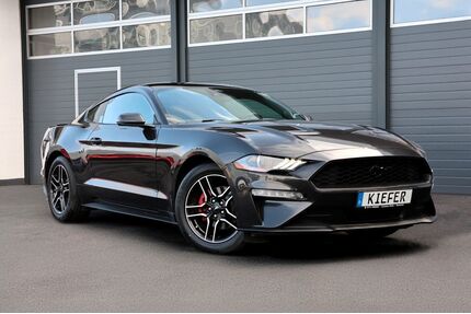 Ford Mustang Gebrauchtwagen