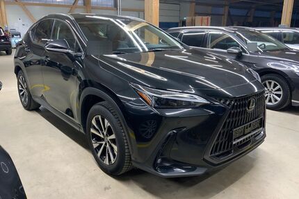 Lexus NX 350h Gebrauchtwagen