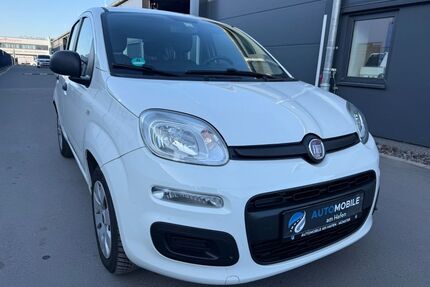 Fiat Panda Gebrauchtwagen