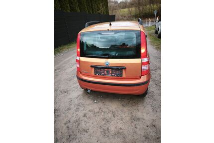 Fiat Panda Gebrauchtwagen