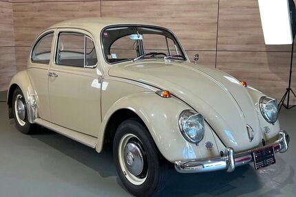 VW Käfer Gebrauchtwagen