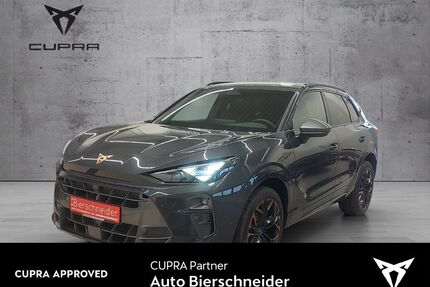 Cupra Terramar Gebrauchtwagen
