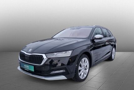 Skoda Octavia Gebrauchtwagen