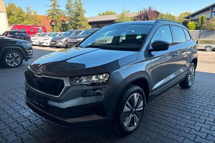 Skoda Karoq Gebrauchtwagen
