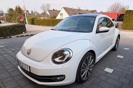 VW Beetle Gebrauchtwagen