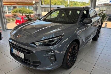 Cupra Terramar Gebrauchtwagen