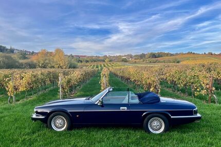 Jaguar XJS Gebrauchtwagen
