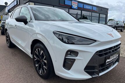 Cupra Terramar Gebrauchtwagen